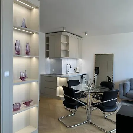 Luxe Near The Airport Apartment *