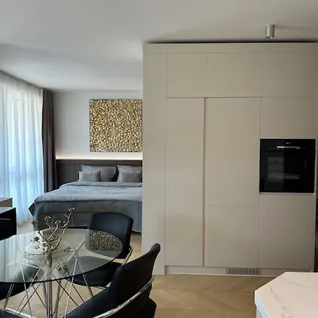 Luxe Near The Airport